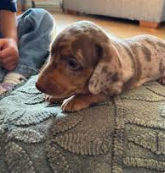 Screenshot 2025-11-06 223412