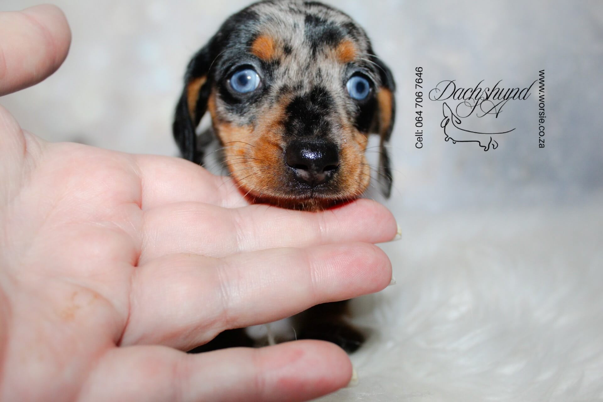 IMG_3651_Watermarked