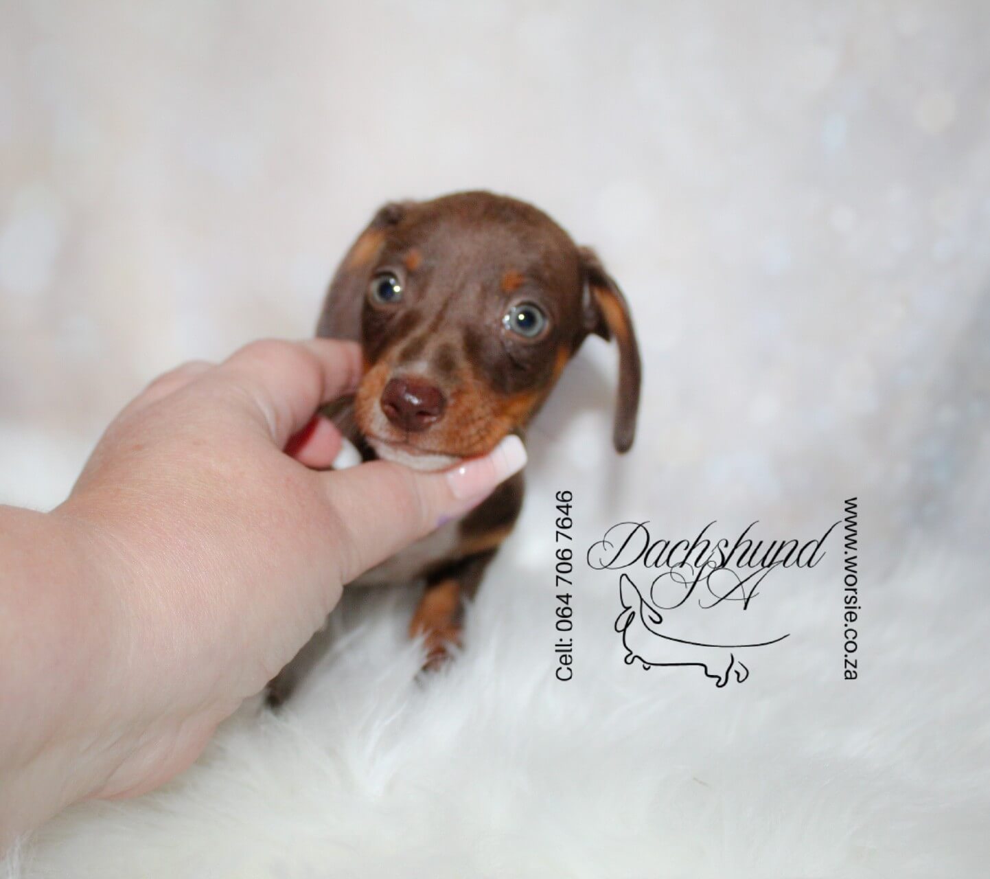 IMG_4209_Watermarked