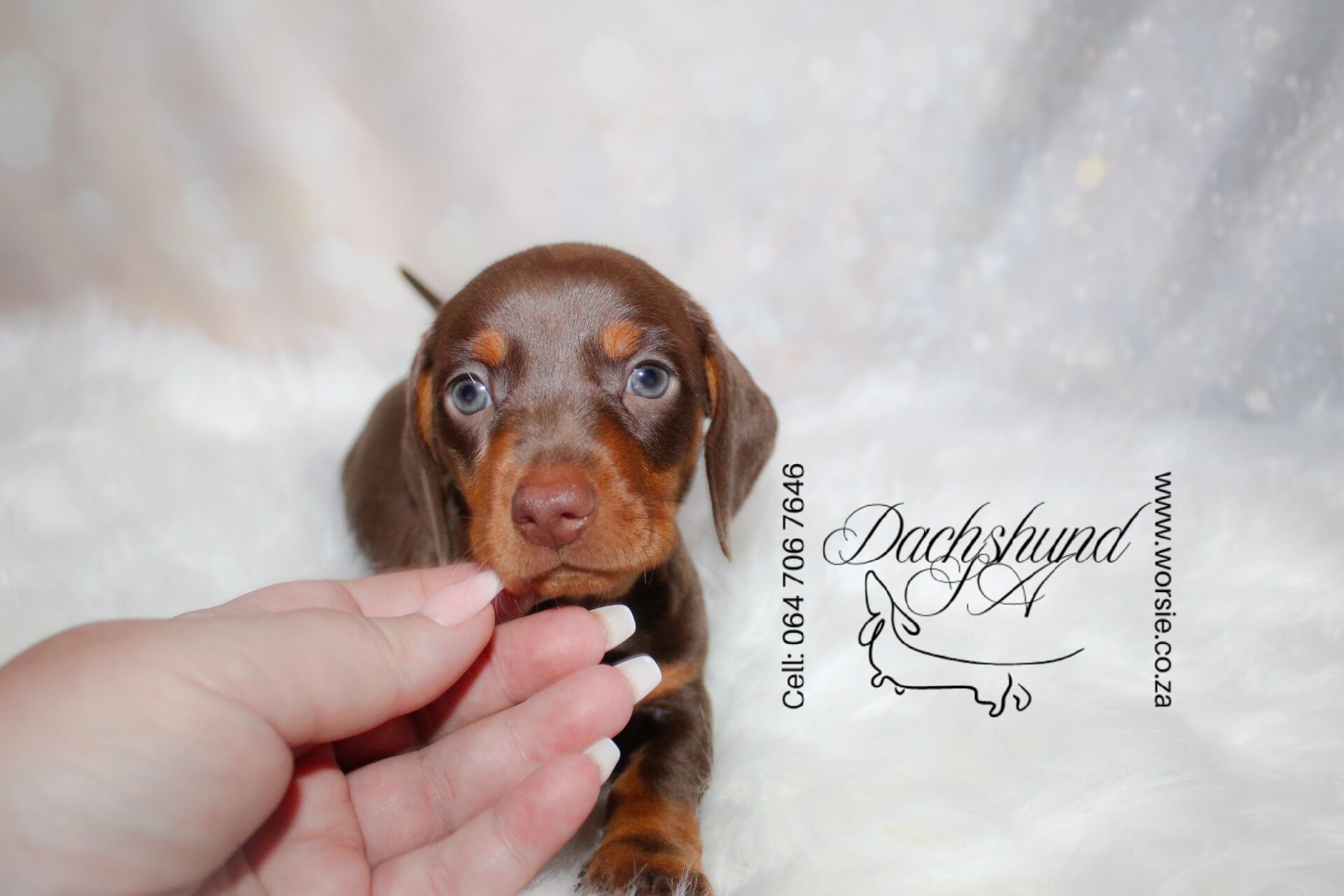 IMG_4290_Watermarked
