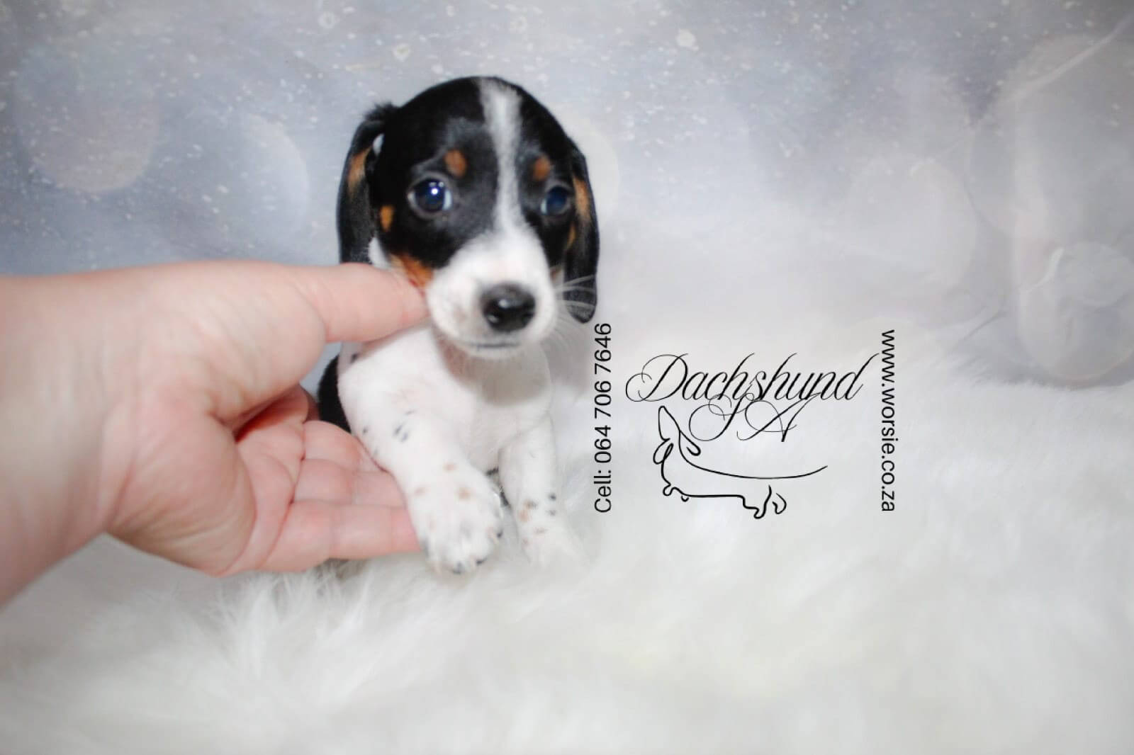 WhatsApp Image 2026-01-18 at 19.43.01_Watermarked