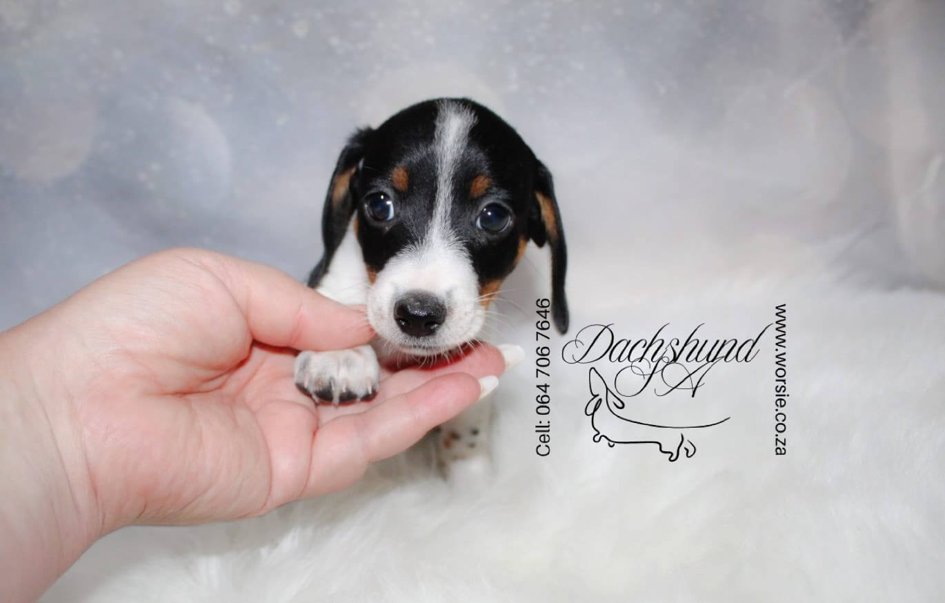 WhatsApp Image 2026-01-18 at 19.43.03_Watermarked