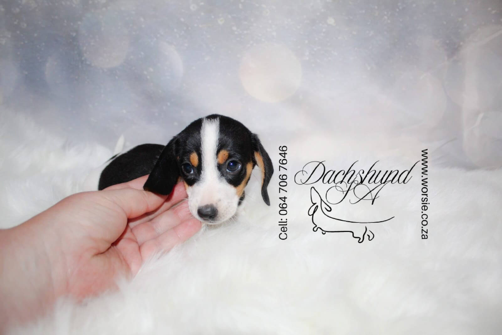 WhatsApp Image 2026-01-18 at 19.43.14 (1)_Watermarked