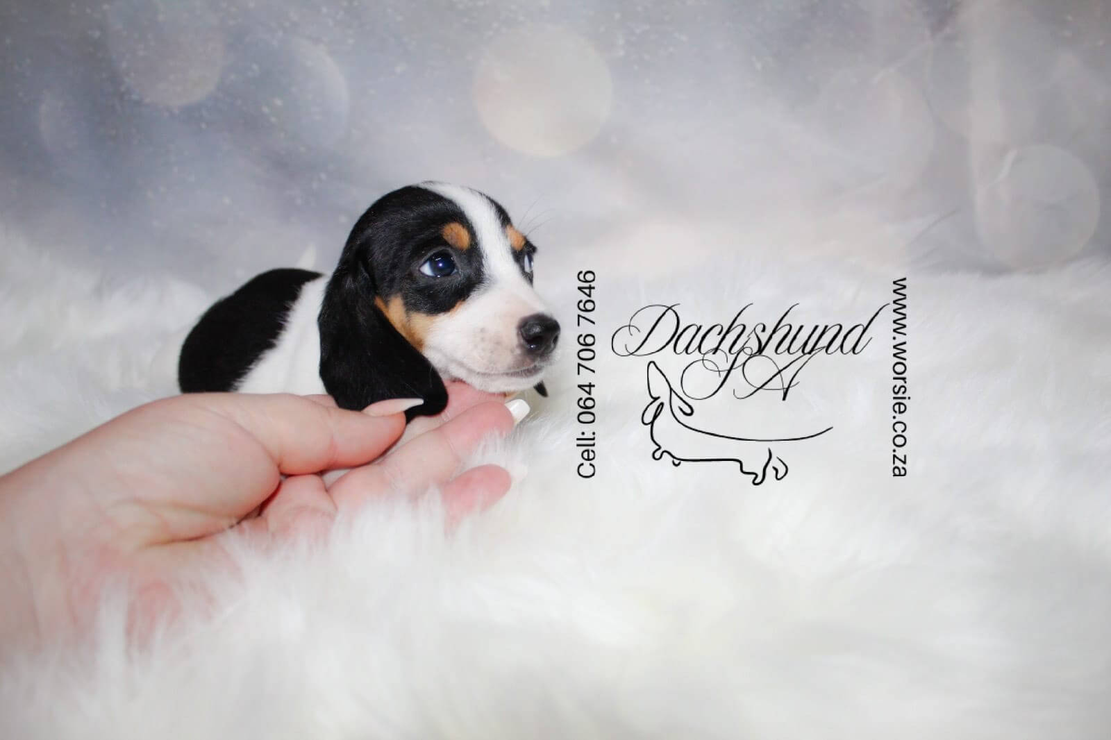 WhatsApp Image 2026-01-18 at 19.43.14_Watermarked