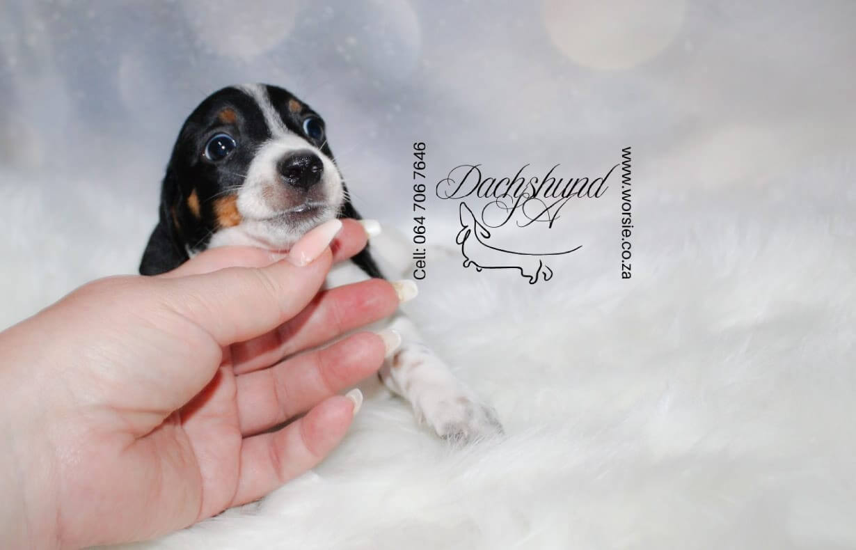 WhatsApp Image 2026-01-18 at 19.43.19 (1)_Watermarked