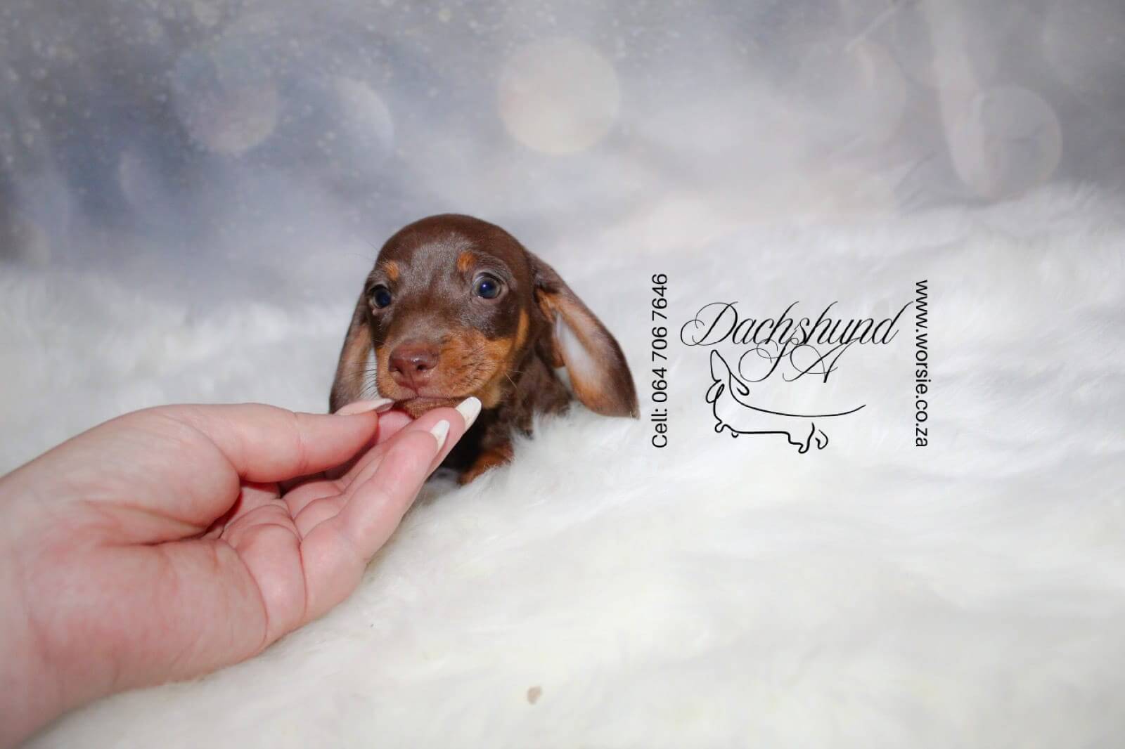 WhatsApp Image 2026-01-18 at 19.43.20 (1)_Watermarked