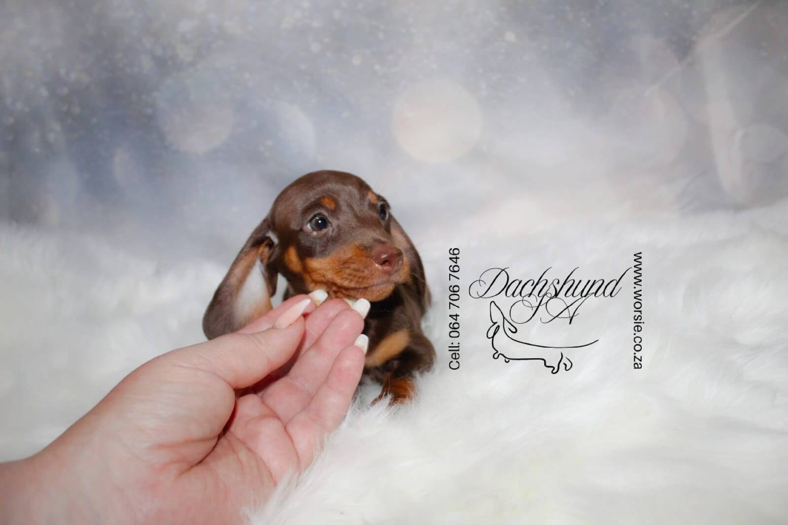 WhatsApp Image 2026-01-18 at 19.43.20 (2)_Watermarked