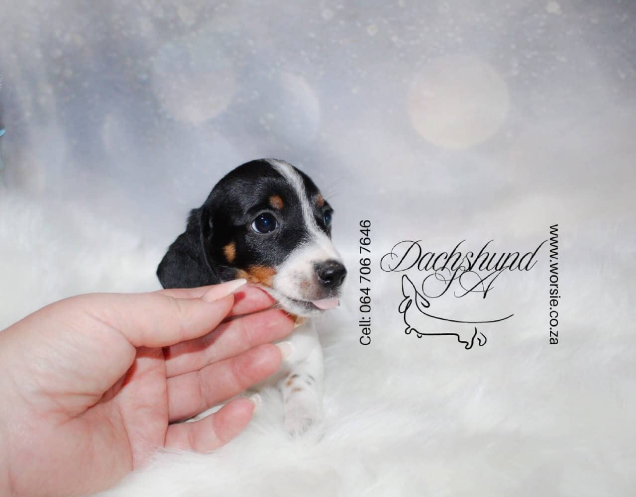 WhatsApp Image 2026-01-18 at 19.43.20_Watermarked