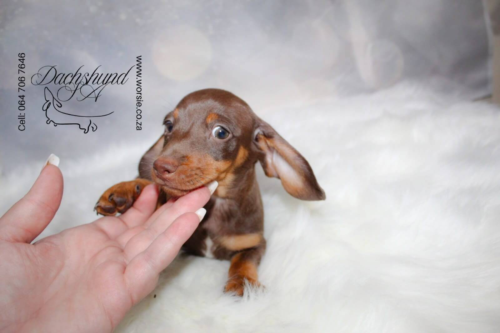 WhatsApp Image 2026-01-18 at 19.43.21 (2)_Watermarked