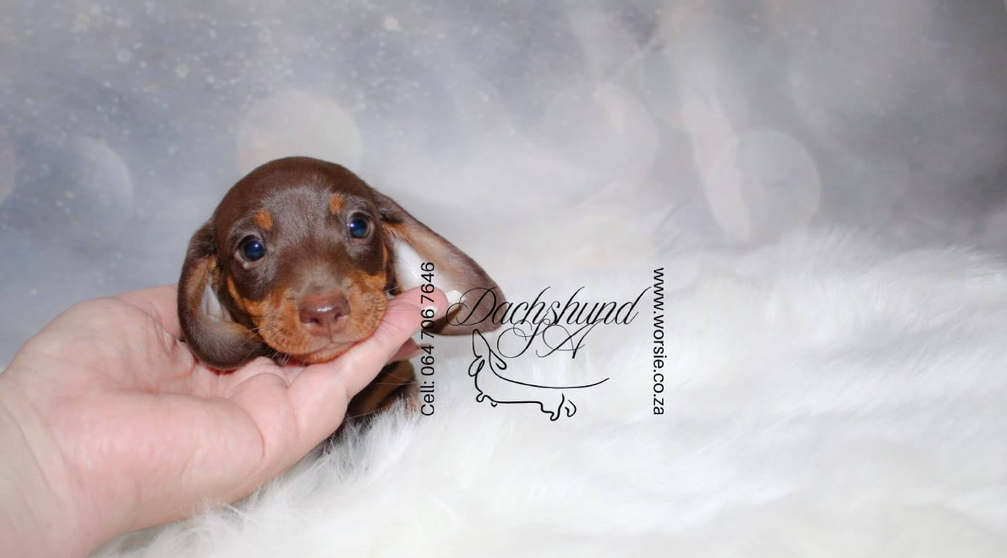 WhatsApp Image 2026-01-18 at 19.43.21_Watermarked