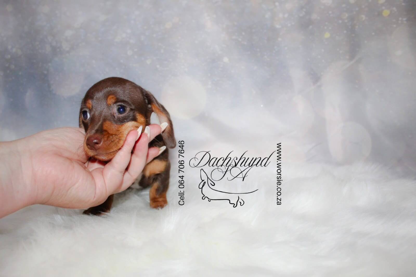 WhatsApp Image 2026-01-18 at 19.43.22 (1)_Watermarked