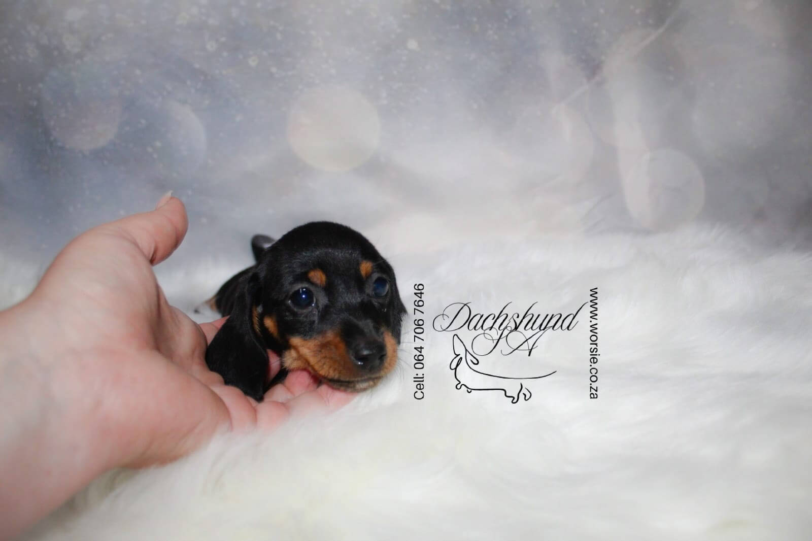 WhatsApp Image 2026-01-18 at 19.43.24_Watermarked