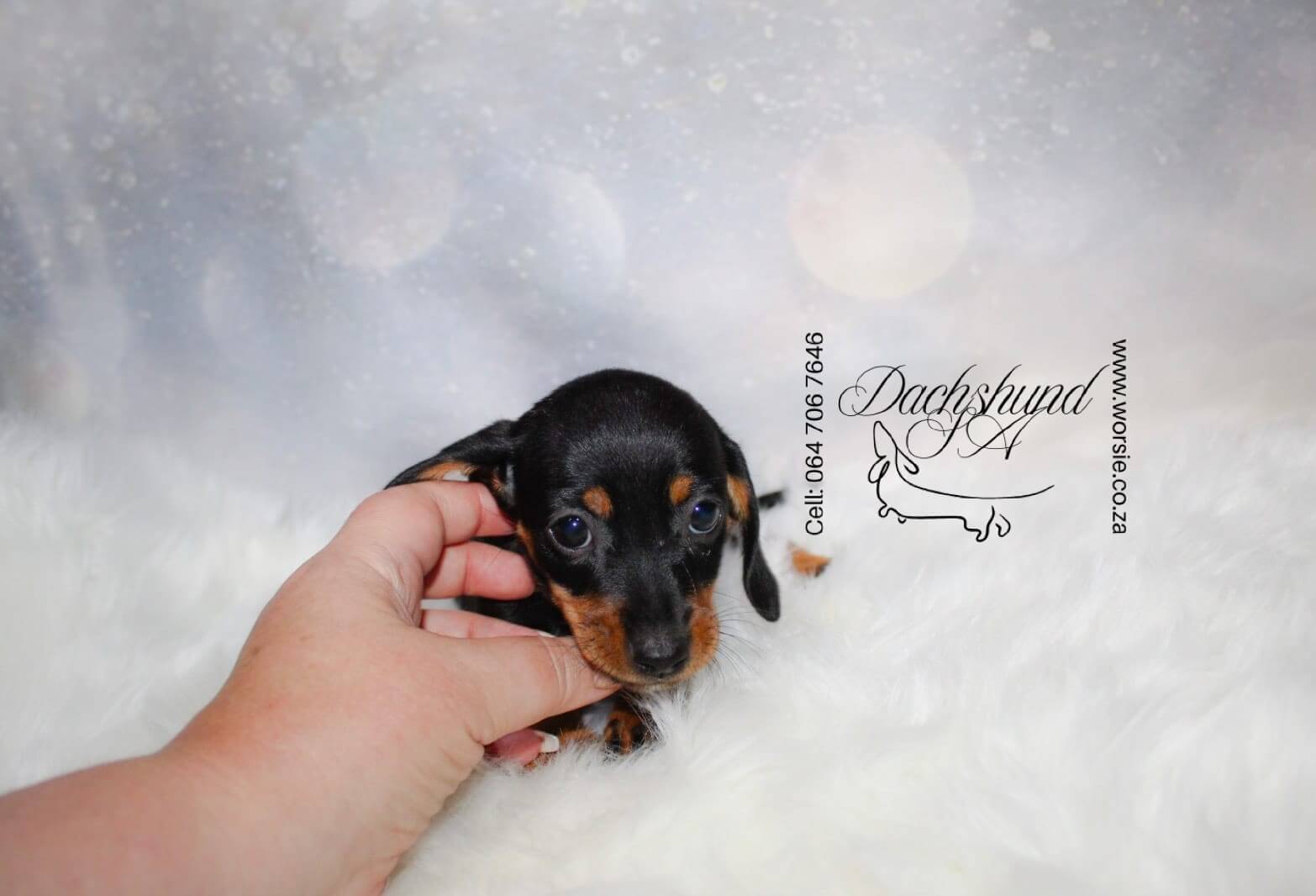 WhatsApp Image 2026-01-18 at 19.43.25 (1)_Watermarked