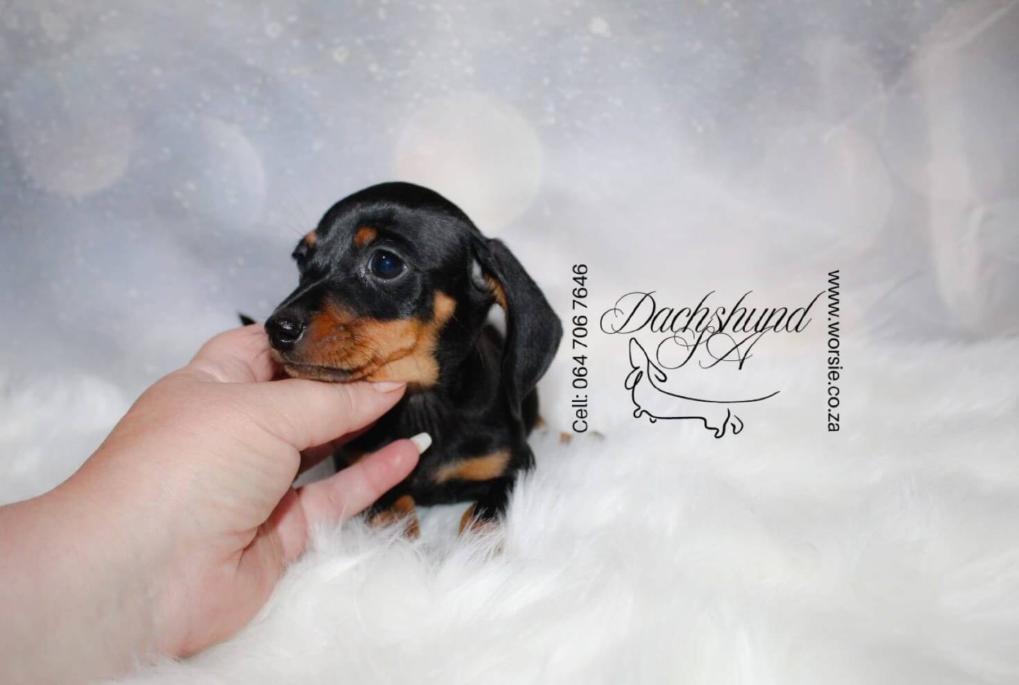 WhatsApp Image 2026-01-18 at 19.43.27_Watermarked